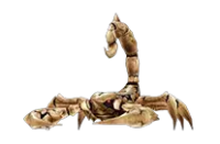 Bone Scorpion