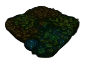 Swamp of Darkness Map